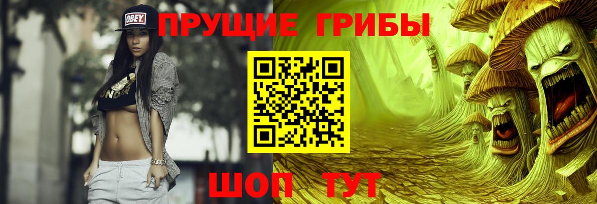 Галлюциногенные грибы GOLDEN TEACHER Ртищево