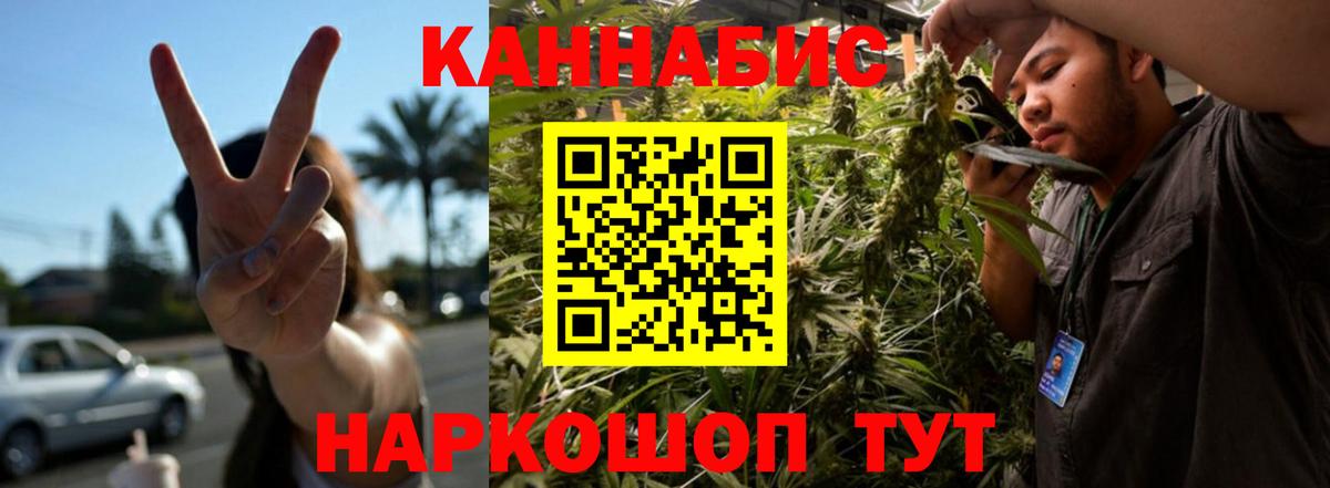 Марихуана индика  Каннабис планчик  МАРИХУАНА MAZAR  Конопля Bruce Banner  Ртищево  Вход с VPN 